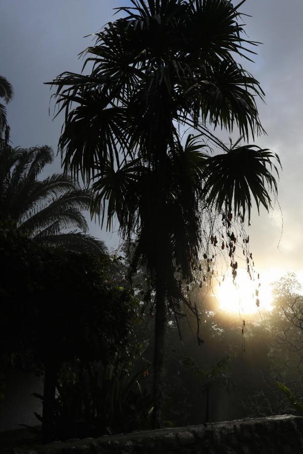 Jade Jungle Resort Teakettle Village Luaran gambar